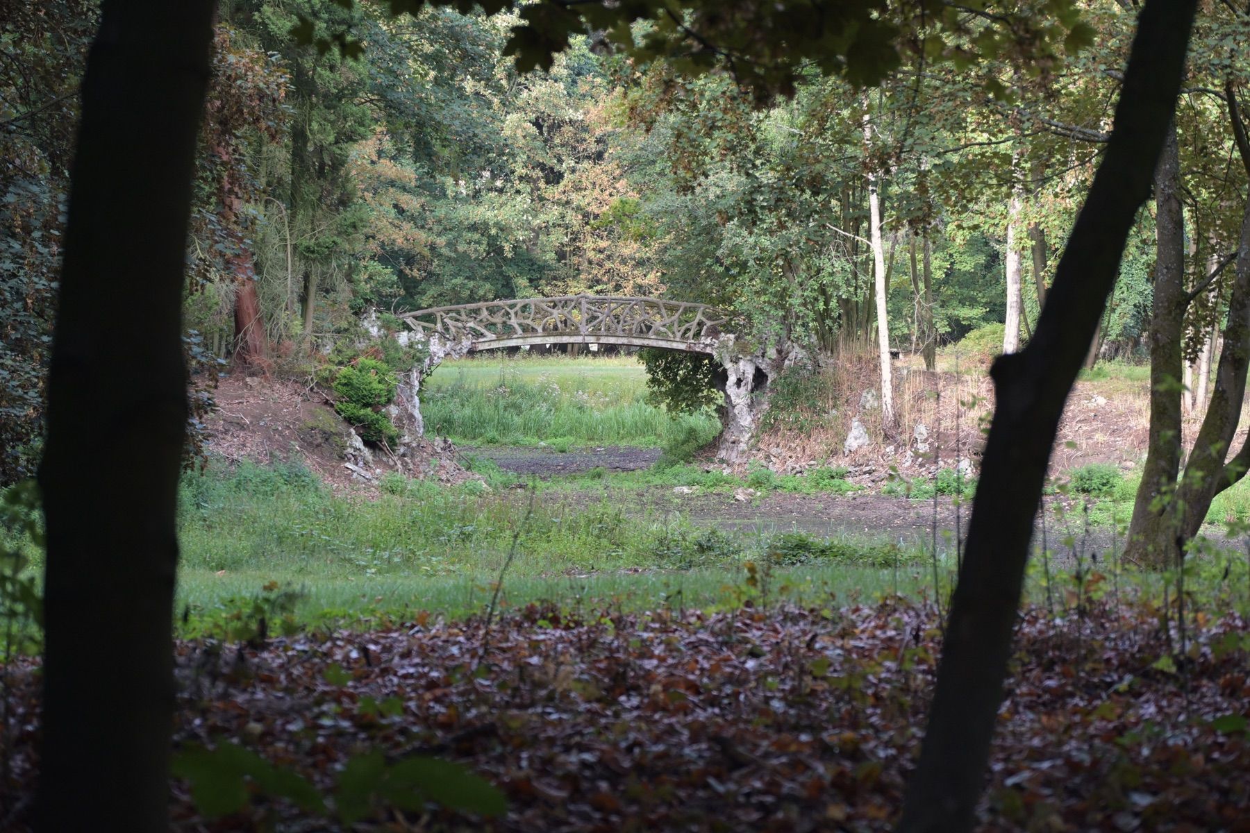 Stenen brug over een vijver in een parkachtige tuin met hoge bomen